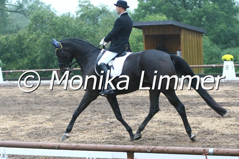 109M3316_Don Carlos_Dressur_M.JPG